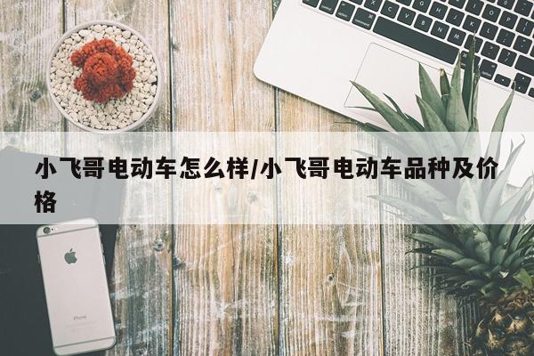 小飞哥电动车怎么样/小飞哥电动车品种及价格