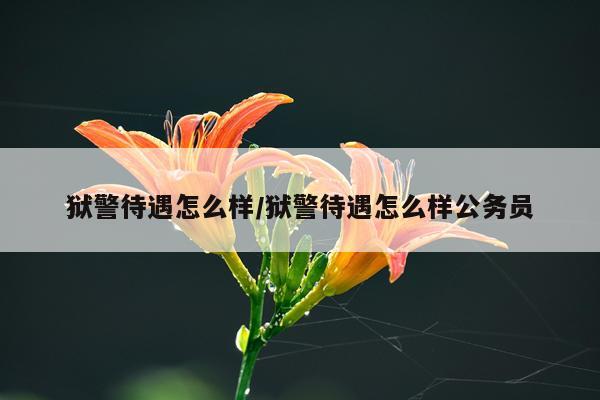 狱警待遇怎么样/狱警待遇怎么样公务员