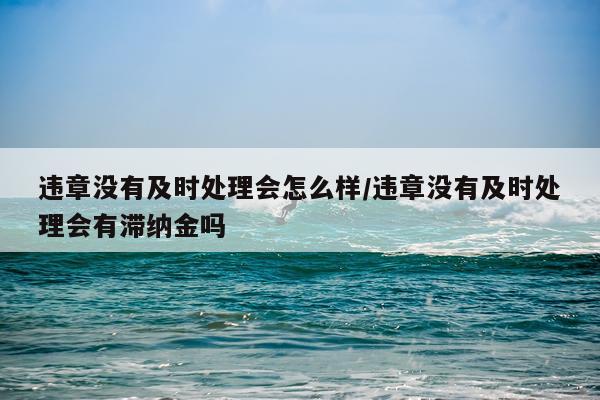 违章没有及时处理会怎么样/违章没有及时处理会有滞纳金吗