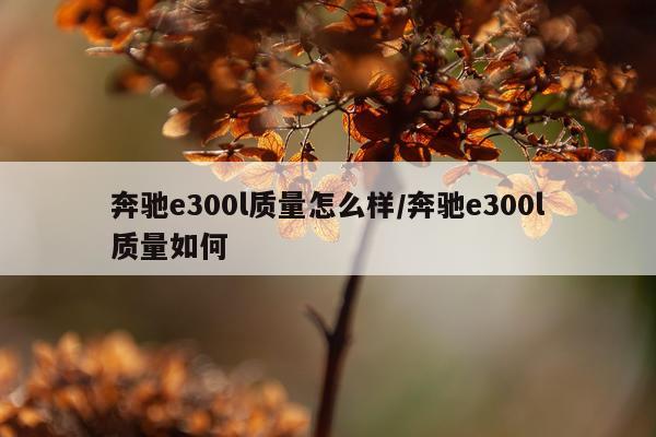 奔驰e300l质量怎么样/奔驰e300l质量如何