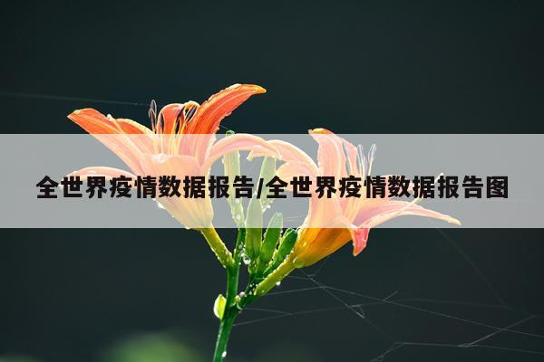 全世界疫情数据报告/全世界疫情数据报告图