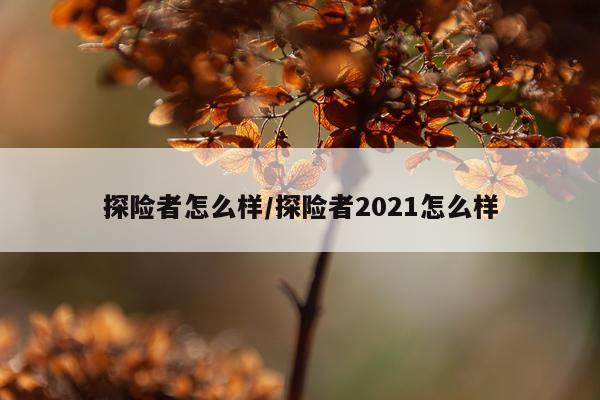 探险者怎么样/探险者2021怎么样