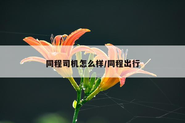 同程司机怎么样/同程出行
