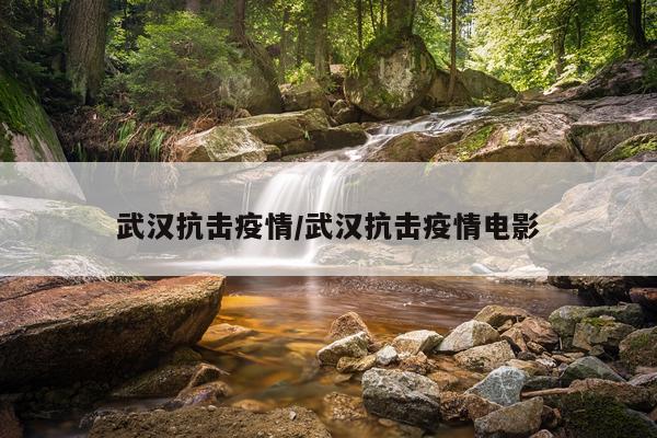 武汉抗击疫情/武汉抗击疫情电影