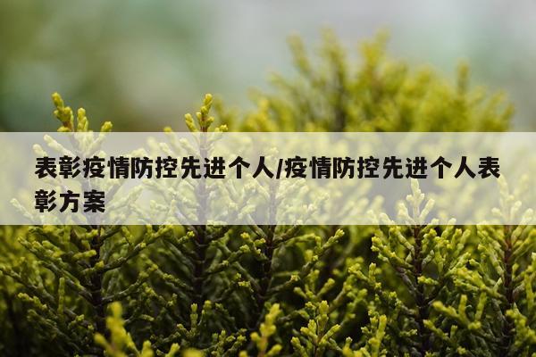 表彰疫情防控先进个人/疫情防控先进个人表彰方案