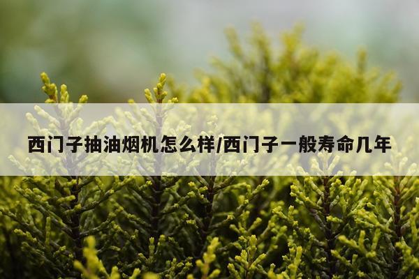 西门子抽油烟机怎么样/西门子一般寿命几年