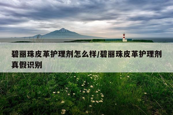 碧丽珠皮革护理剂怎么样/碧丽珠皮革护理剂真假识别