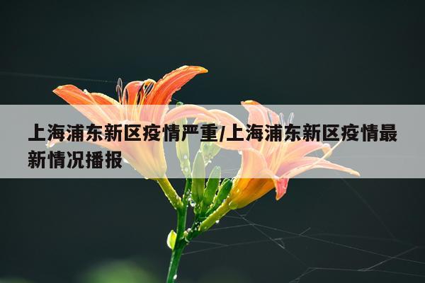 上海浦东新区疫情严重/上海浦东新区疫情最新情况播报