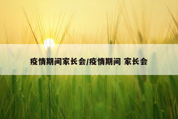 疫情期间家长会/疫情期间 家长会