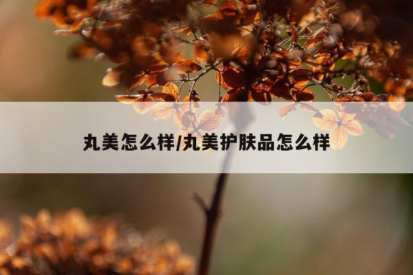 丸美怎么样/丸美护肤品怎么样