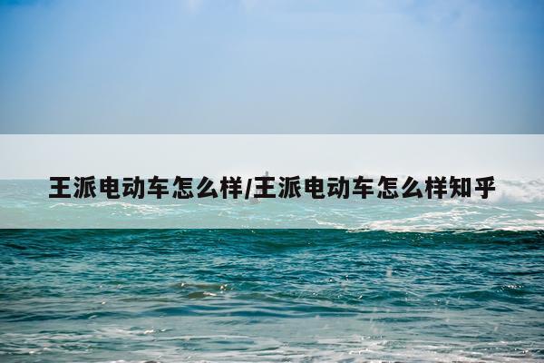 王派电动车怎么样/王派电动车怎么样知乎