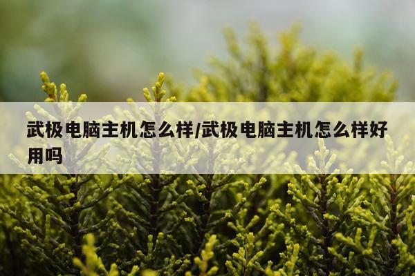 武极电脑主机怎么样/武极电脑主机怎么样好用吗