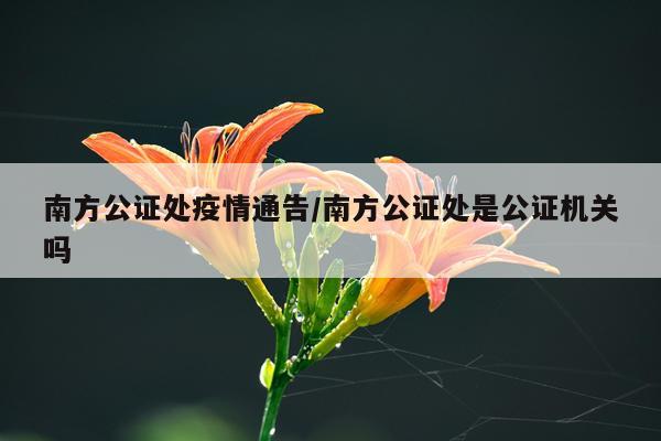 南方公证处疫情通告/南方公证处是公证机关吗
