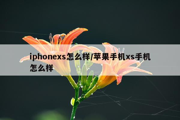 iphonexs怎么样/苹果手机xs手机怎么样