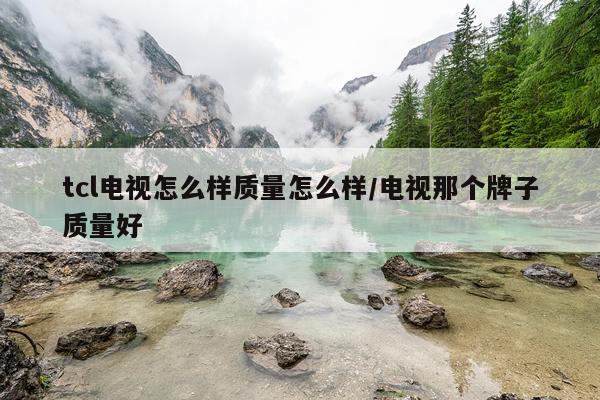 tcl电视怎么样质量怎么样/电视那个牌子质量好
