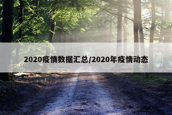 2020疫情数据汇总/2020年疫情动态