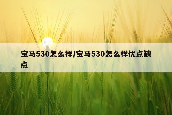 宝马530怎么样/宝马530怎么样优点缺点