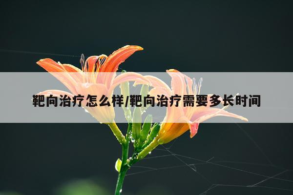 靶向治疗怎么样/靶向治疗需要多长时间