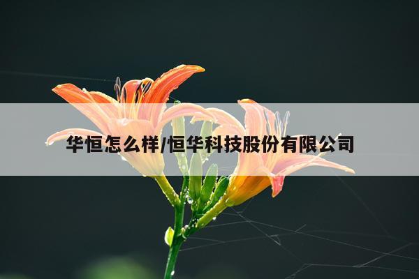 华恒怎么样/恒华科技股份有限公司