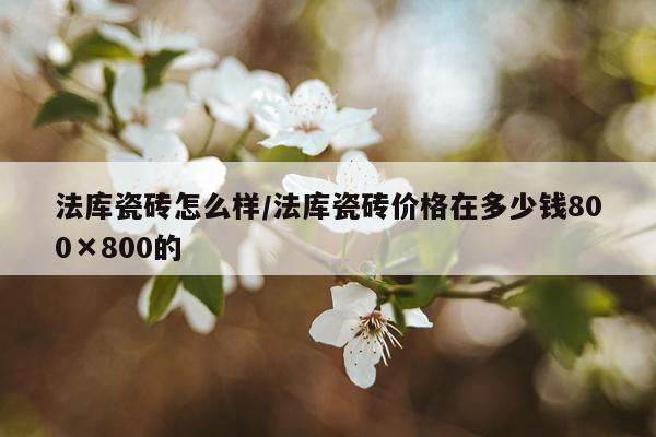法库瓷砖怎么样/法库瓷砖价格在多少钱800×800的