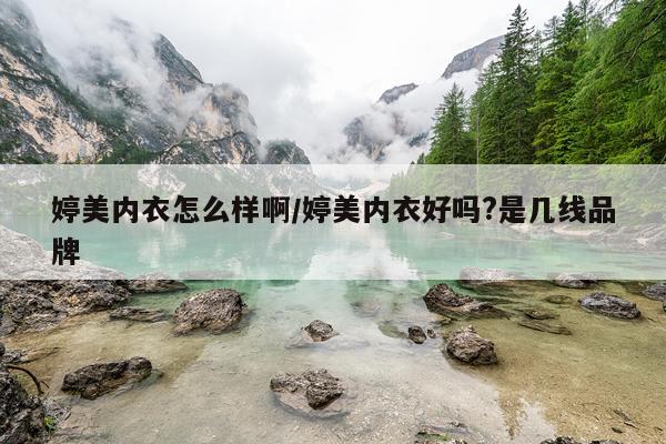 婷美内衣怎么样啊/婷美内衣好吗?是几线品牌