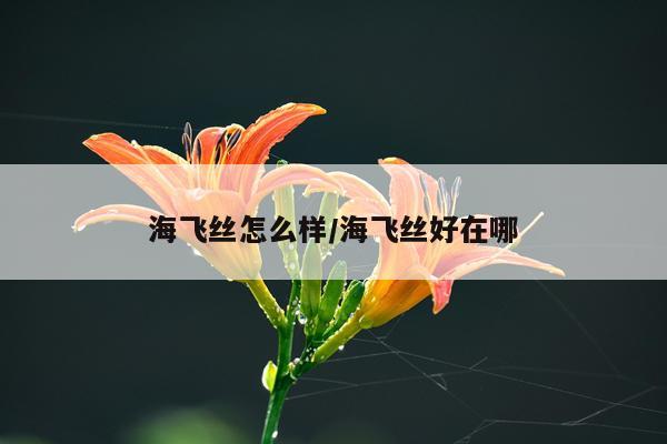 海飞丝怎么样/海飞丝好在哪