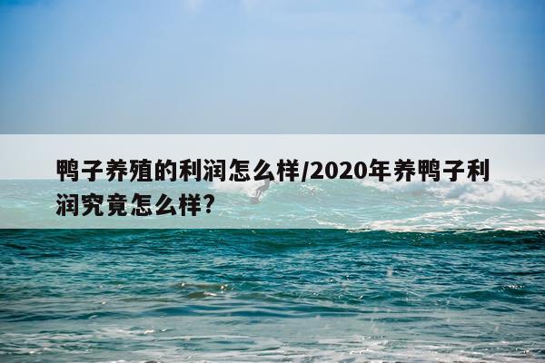 鸭子养殖的利润怎么样/2020年养鸭子利润究竟怎么样?