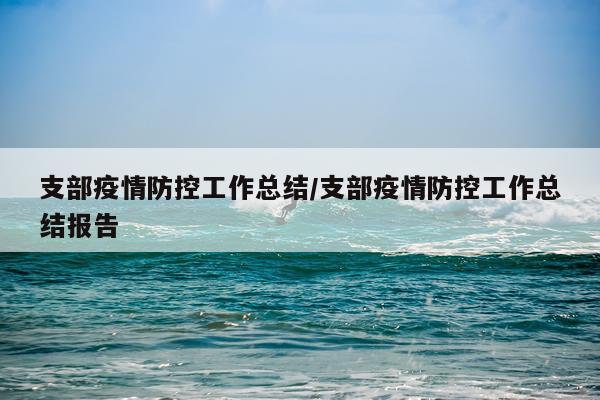 支部疫情防控工作总结/支部疫情防控工作总结报告