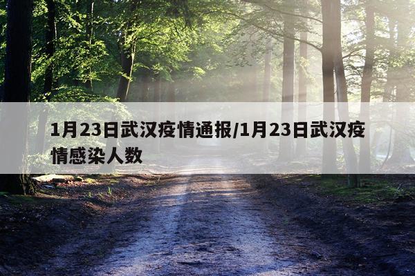 1月23日武汉疫情通报/1月23日武汉疫情感染人数