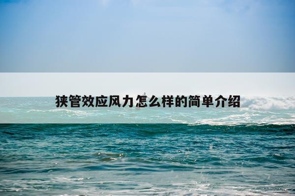 狭管效应风力怎么样的简单介绍