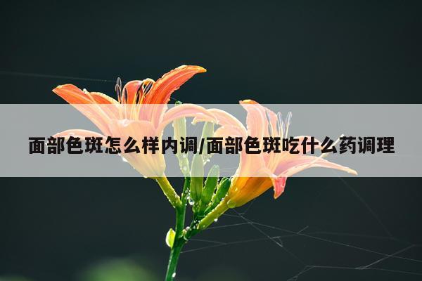 面部色斑怎么样内调/面部色斑吃什么药调理