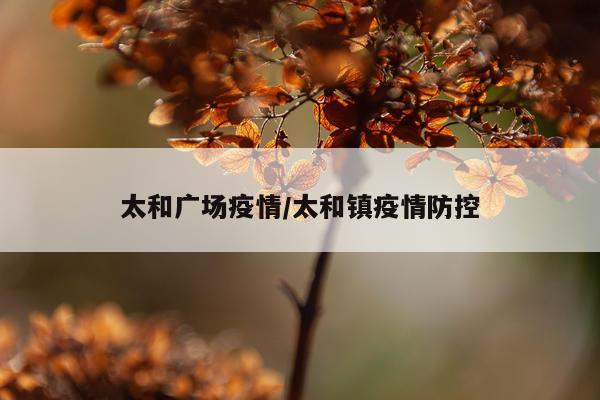 太和广场疫情/太和镇疫情防控
