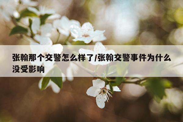 张翰那个交警怎么样了/张翰交警事件为什么没受影响