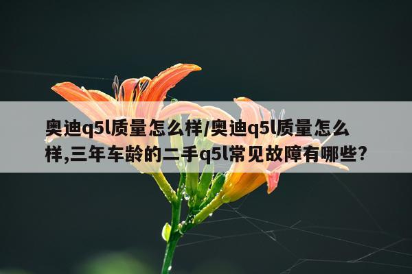 奥迪q5l质量怎么样/奥迪q5l质量怎么样,三年车龄的二手q5l常见故障有哪些?