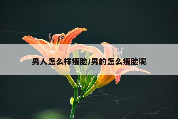 男人怎么样瘦脸/男的怎么瘦脸呢