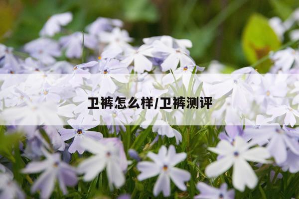 卫裤怎么样/卫裤测评