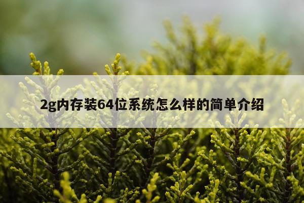 2g内存装64位系统怎么样的简单介绍