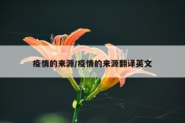 疫情的来源/疫情的来源翻译英文