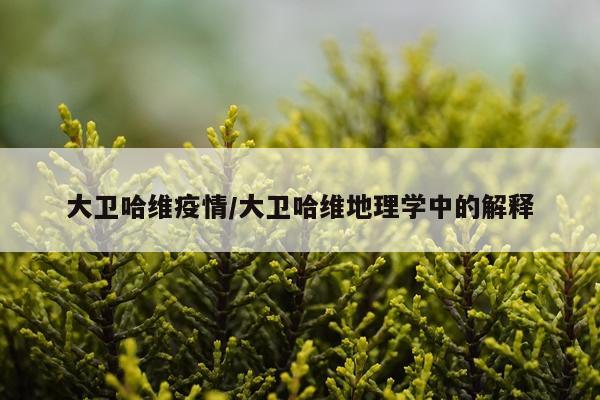 大卫哈维疫情/大卫哈维地理学中的解释