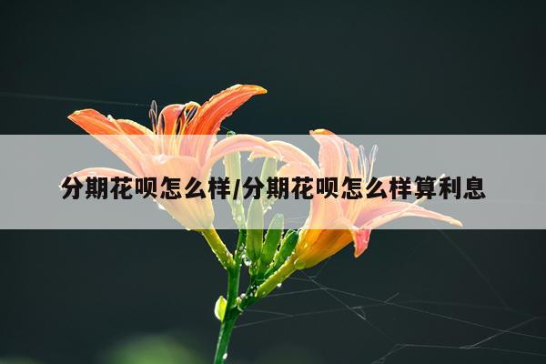 分期花呗怎么样/分期花呗怎么样算利息