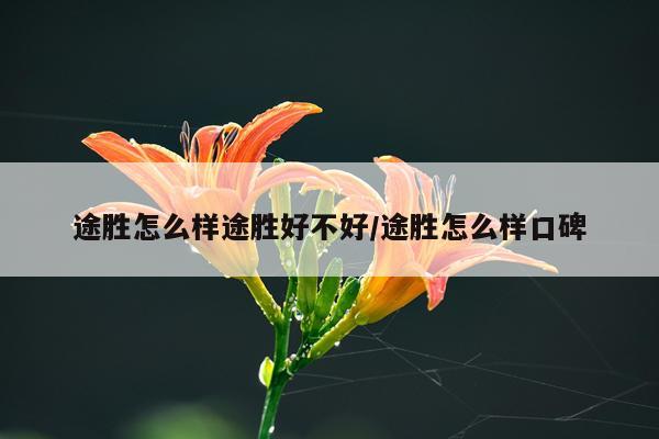 途胜怎么样途胜好不好/途胜怎么样口碑