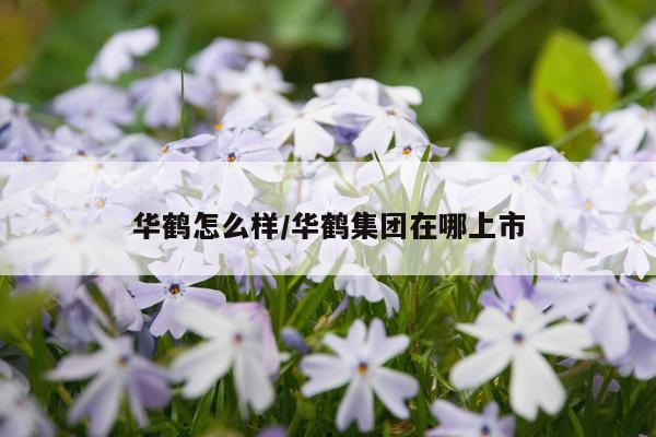 华鹤怎么样/华鹤集团在哪上市