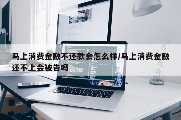 马上消费金融不还款会怎么样/马上消费金融还不上会被告吗