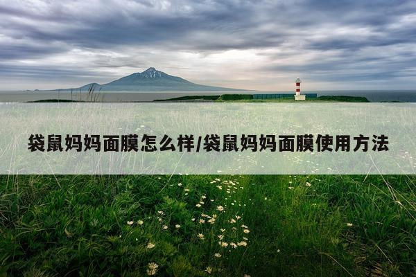 袋鼠妈妈面膜怎么样/袋鼠妈妈面膜使用方法