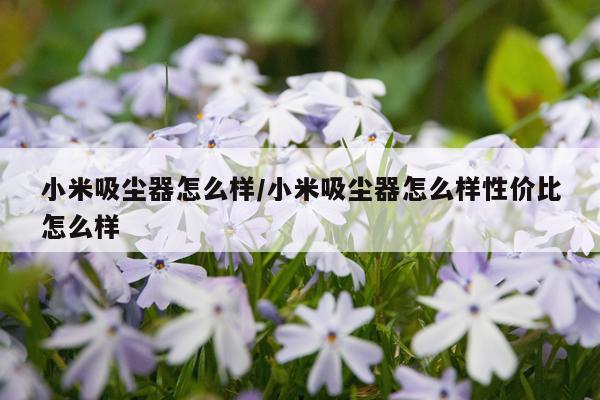 小米吸尘器怎么样/小米吸尘器怎么样性价比怎么样