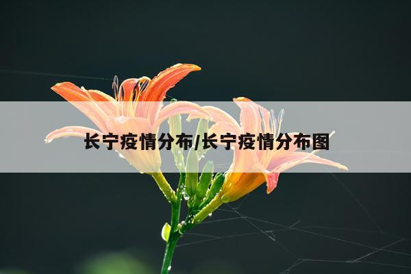 长宁疫情分布/长宁疫情分布图