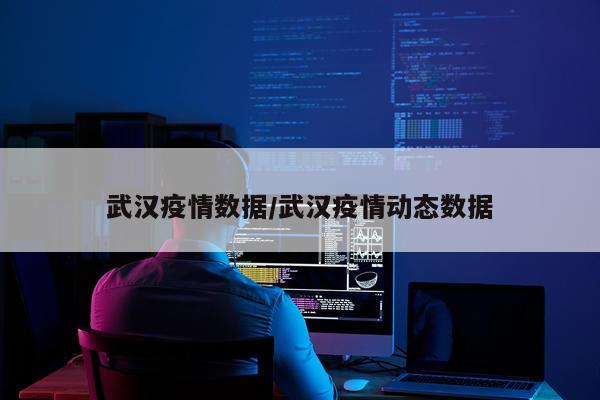 武汉疫情数据/武汉疫情动态数据