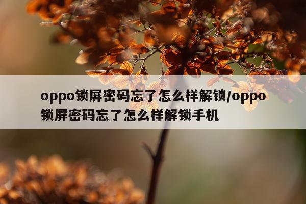 oppo锁屏密码忘了怎么样解锁/oppo锁屏密码忘了怎么样解锁手机