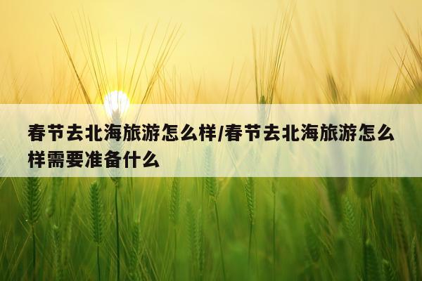 春节去北海旅游怎么样/春节去北海旅游怎么样需要准备什么