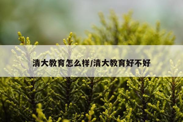 清大教育怎么样/清大教育好不好